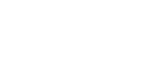 REIWA JAPAN NEO