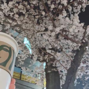 【一旦ひと息期 花倉楓】