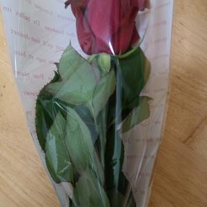 舞台が終わりました、ありがとうございました