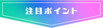注目ポイント